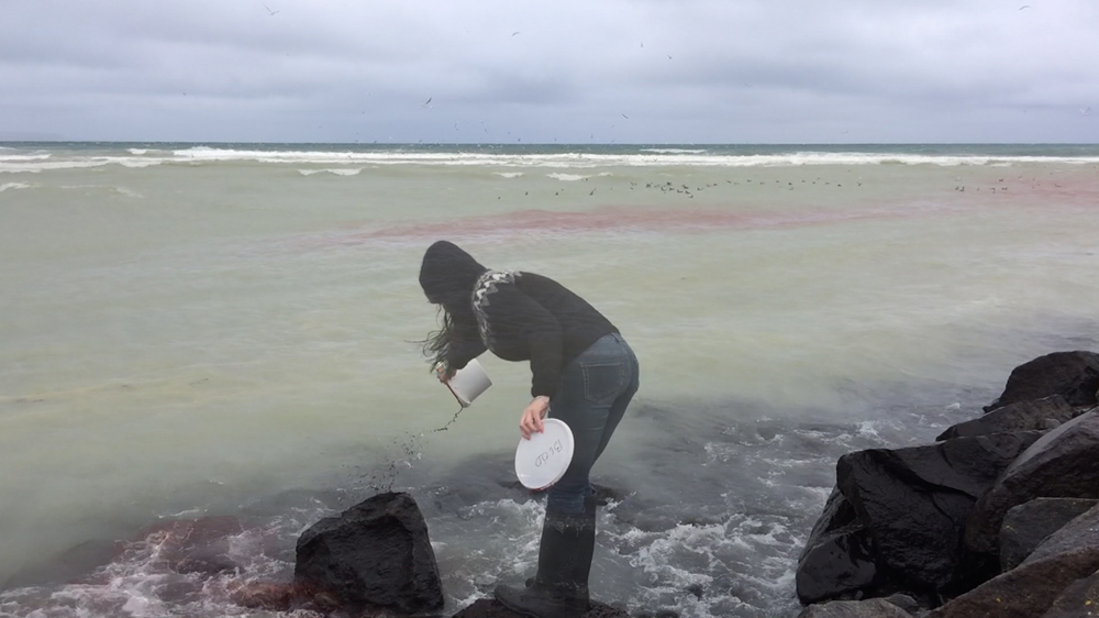 WhiteFeather Hunter’s image - Video still: washing away blood in the ocean/sheep slaughter