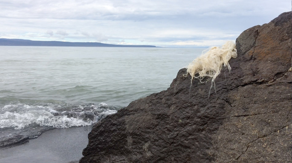 WhiteFeather Hunter’s image - Video still: marine washing wool