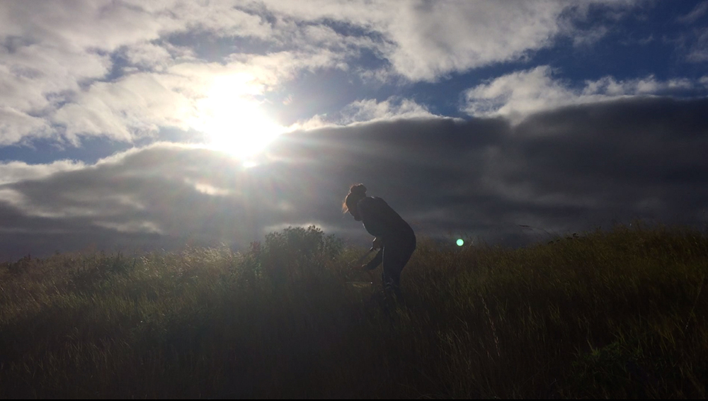 WhiteFeather Hunter’s image - Video still: cutting lupin